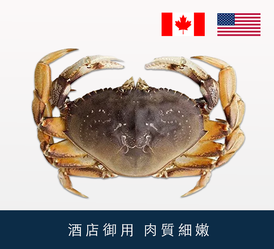 加拿大/美國活珍寶蟹 2lb